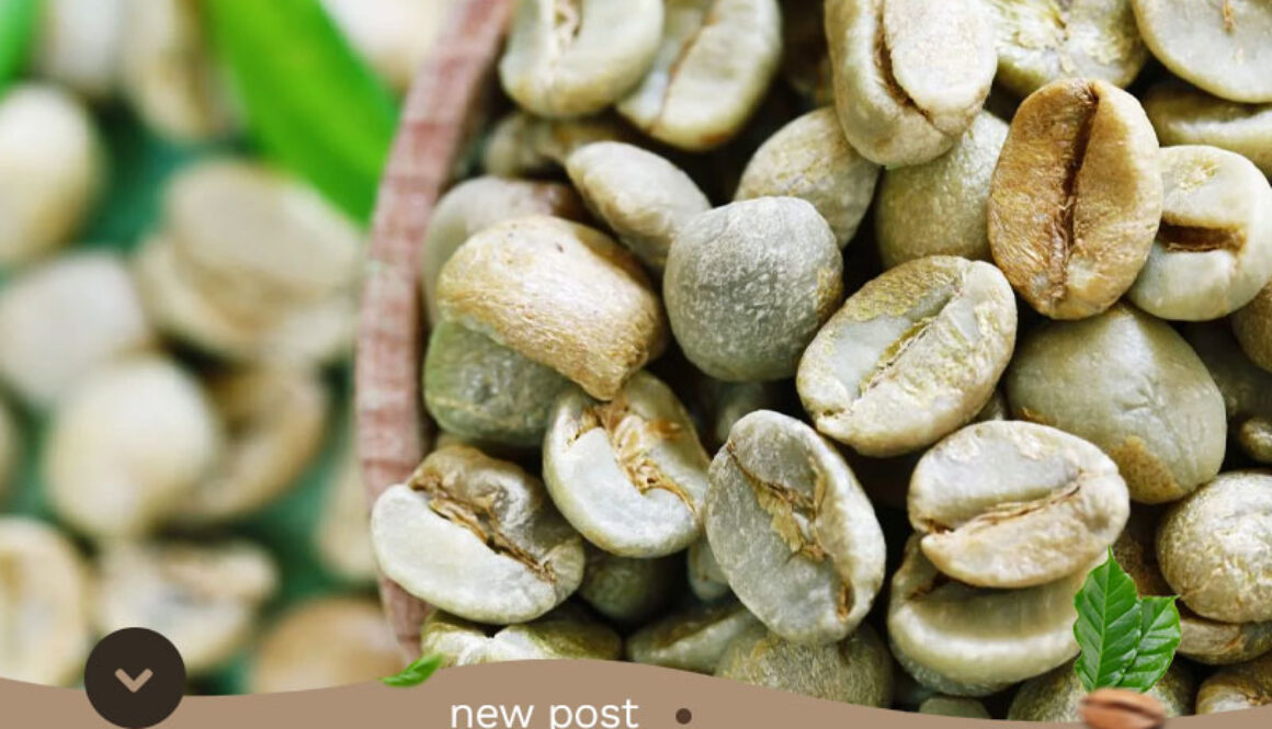 High-Quality-Gayo-Arabica-Coffee-Producer1