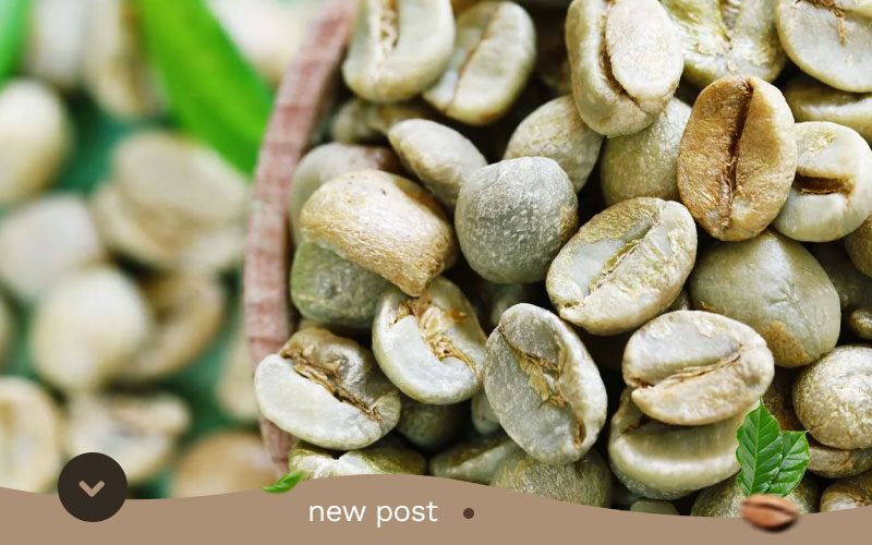 High-Quality-Gayo-Arabica-Coffee-Producer1