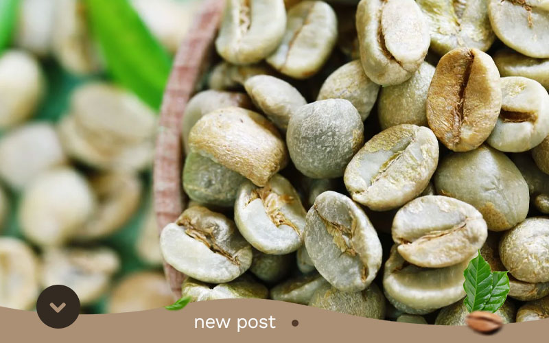 High-Quality-Gayo-Arabica-Coffee-Producer1