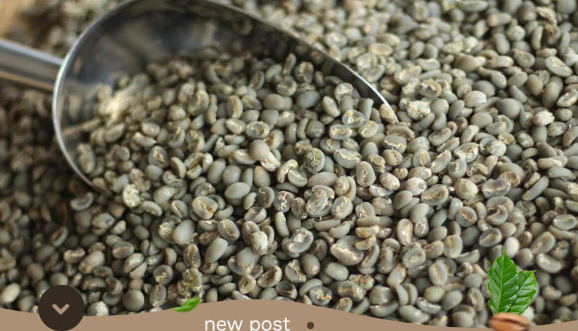 Supplier-of-Aceh-Gayo-Arabica-Coffee-Beans1