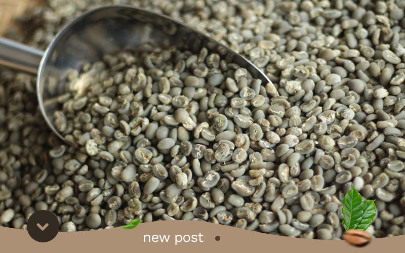 Supplier-of-Aceh-Gayo-Arabica-Coffee-Beans1