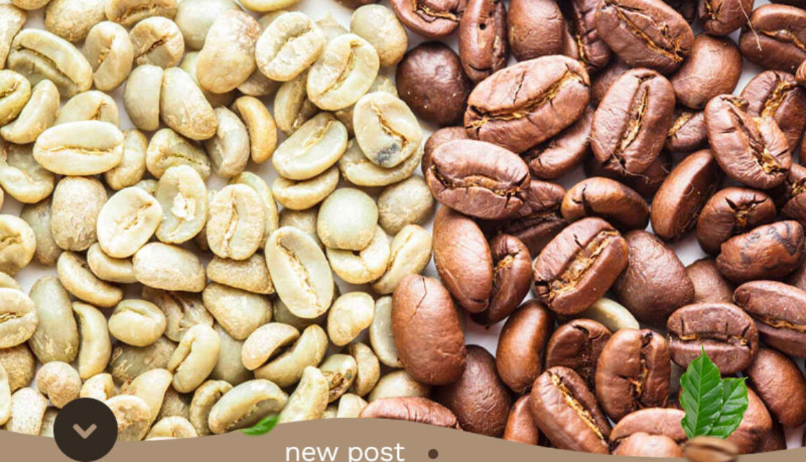 The-Unrivaled-Excellence-of-Aceh-Gayo-Coffee