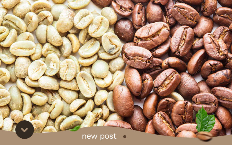 The-Unrivaled-Excellence-of-Aceh-Gayo-Coffee