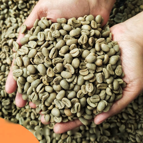 aceh-gayo-green-bean