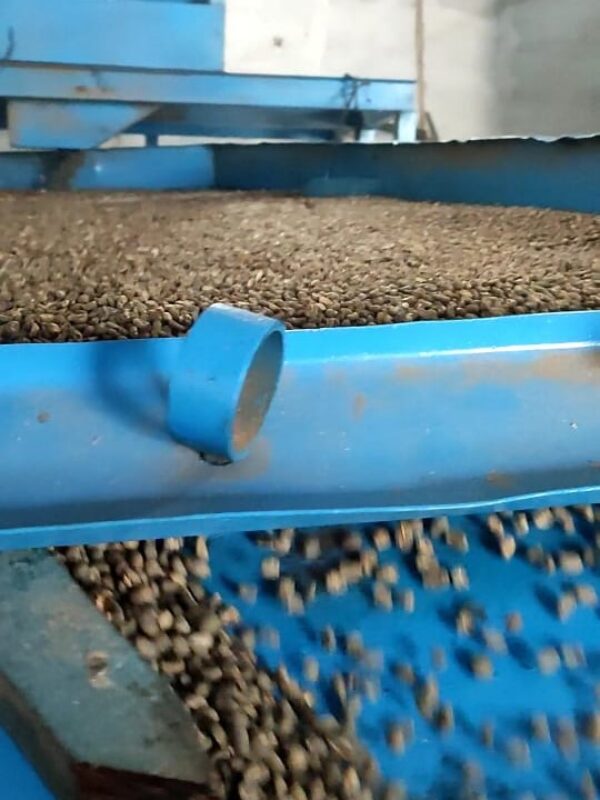 gallery atta coffee gayo (2)